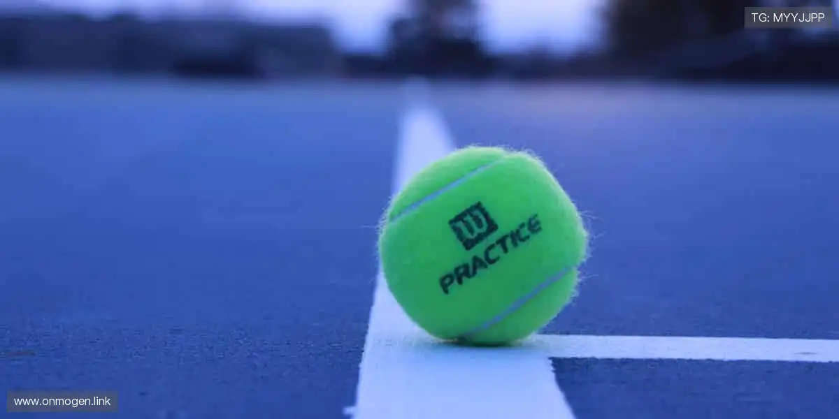 🏀 体育社区，球迷家园！分享你的激情，结交同好👥💬